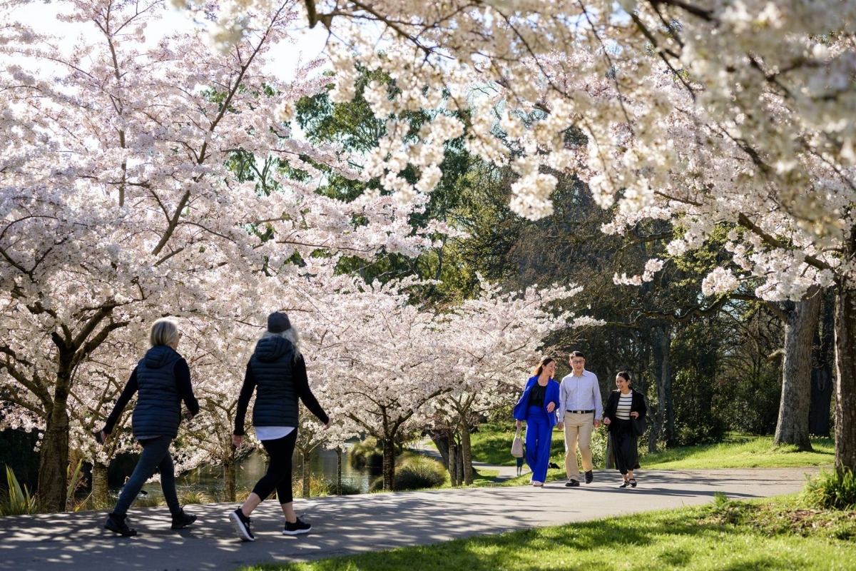 Christchurch Botanic Gardens