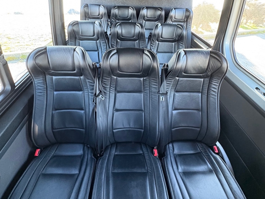 Leather passenger seating